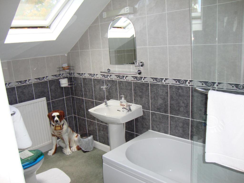 Sherwood Hotel - B&B Harrogate Extérieur photo